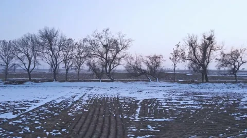 Winter aerial shot of plain fields 動画素材 234294929