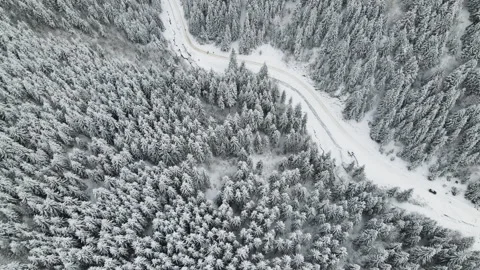 Winter aerial top view from drone - car vehicle moving on snowy forest road 4k Stock Footage 220362787