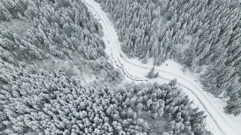 Winter aerial top view from drone - car vehicle moving on snowy forest road 4k Stock Footage 220366574