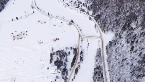 Winter aerial view forest mountains river Canada Stock Footage 327996772