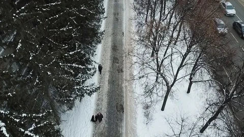 Winter aerial view of the sidewalk between the trees and the roads with cars Stock-Footage 111243127