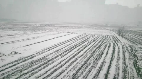 Winter agricultural fields after snow in the great North China Plain Stock Footage 46840285