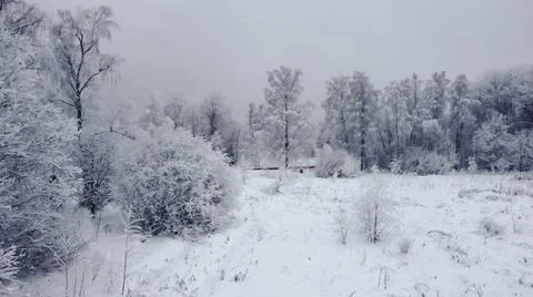 Winter, all trees and ground are covered with white, slight haze, top view Stock Photos