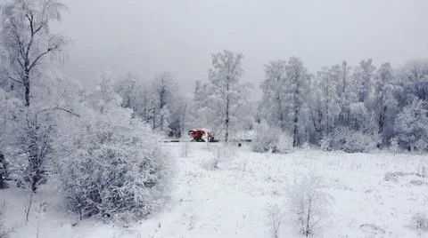 Winter, all the trees and the ground are covered with white snow Stock Photos