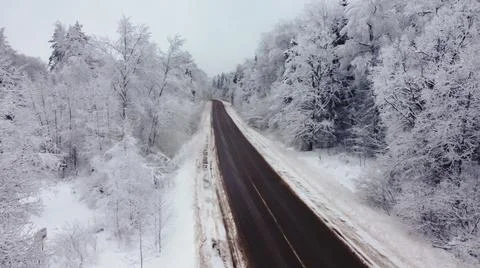 Winter, all the trees and the ground are covered with white snow Stock Photos
