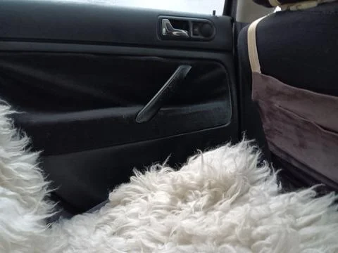 Winter in Almaty, inside a car. Stock Photos