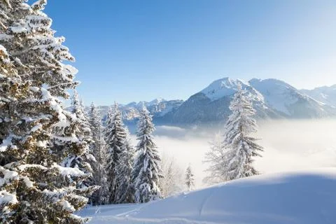 Winter Alpine View Stock Photos