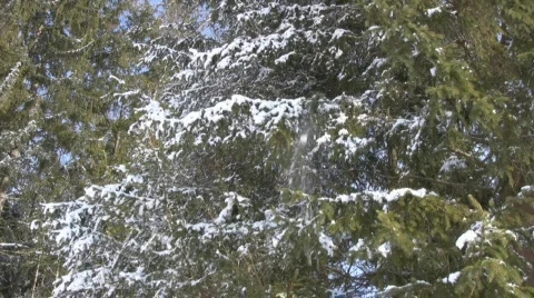 Winter in the Alps Stock Footage 596128