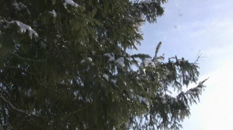 Winter in the Alps Stock Footage 596250