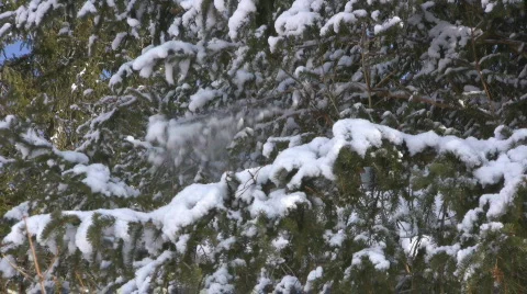 Winter in the Alps Stock Footage 610750