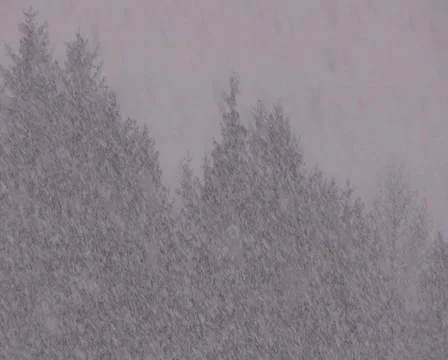 Winter in the Alps Stock Footage 1049254
