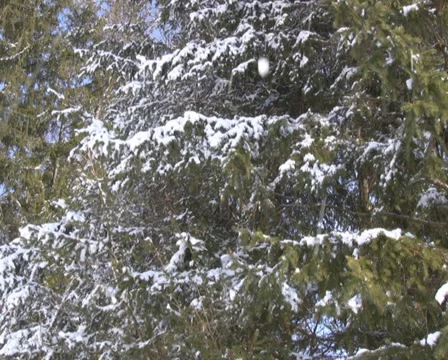 Winter in the Alps Stock Footage 1049273