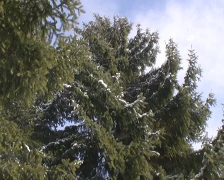 Winter in the Alps Video stock 1049363