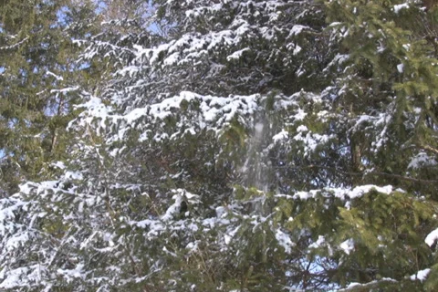Winter in the Alps Stock Footage 1053690