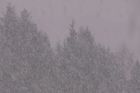 Winter in the Alps Stock Footage 1053976