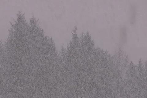 Winter in the Alps Stock Footage 1053997
