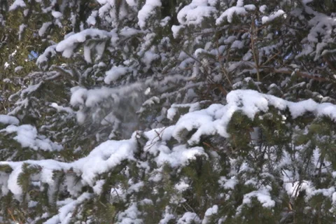 Winter in the Alps Stock Footage 1054064