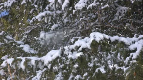 Winter in the Alps Stock Footage 10880261