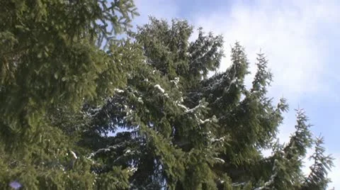 Winter in the Alps Stock Footage 10880296