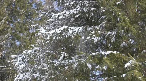 Winter in the Alps Stock Footage 10880371