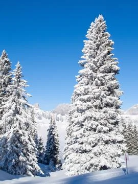 Winter in alps Stock-Fotos