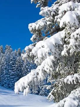 Winter in alps Stock Photos