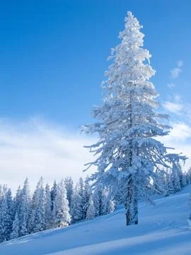 Winter in alps Stock Photos