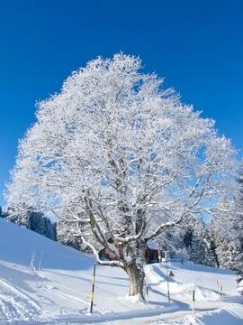 Winter in alps Stock Photos