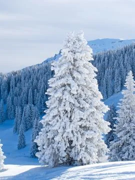 Winter in alps Stock Photos