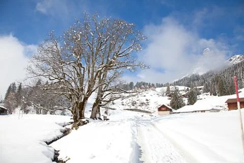 Winter in alps Stock Photos