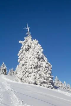 Winter in alps Foto stock