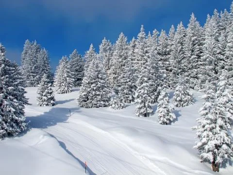 Winter in alps Stock Photos