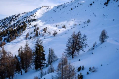 Winter in the Alps Stock Photos