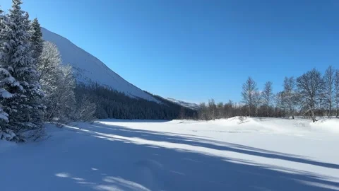 Winter and blue sky Vidéo 246602702