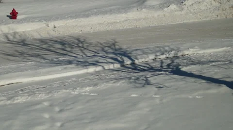 Winter and shadow of a tree on a snow Stock Footage 36741773