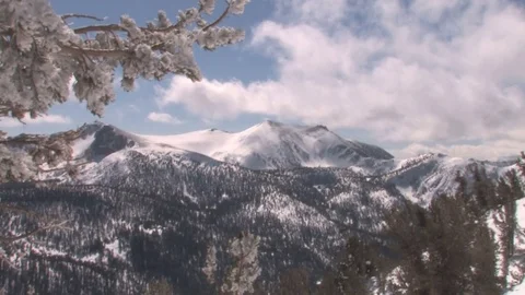 Winter and snow Video stock 74088076