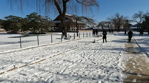 Winter and snow Stock Footage 167491626