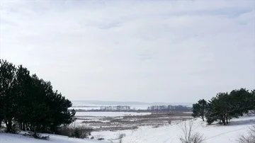 Winter and snow, landscape Stock Footage 85851391