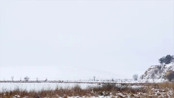 Winter and snow, landscape Video stock 85887471
