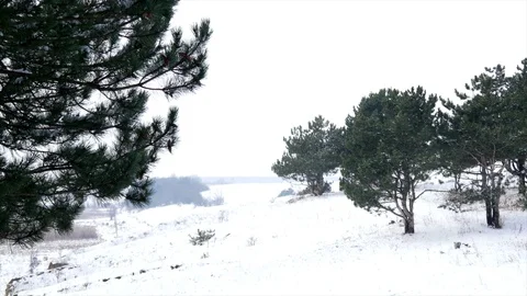 Winter and snow, landscape Video stock 85894241