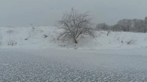 Winter Apple Tree On the river 스톡 동영상 196555447