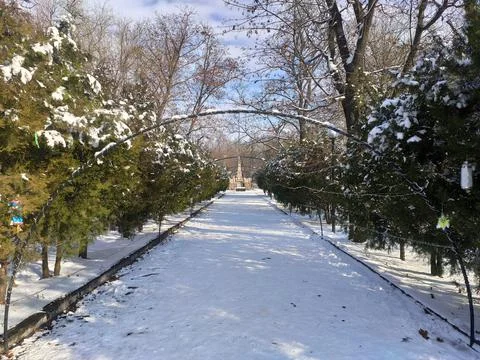 Winter arch in the park Fotos de archivo