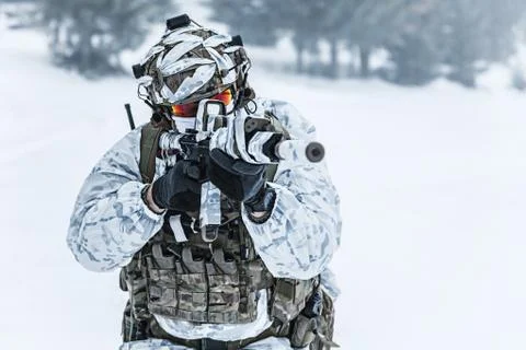 Winter arctic warfare Foto stock