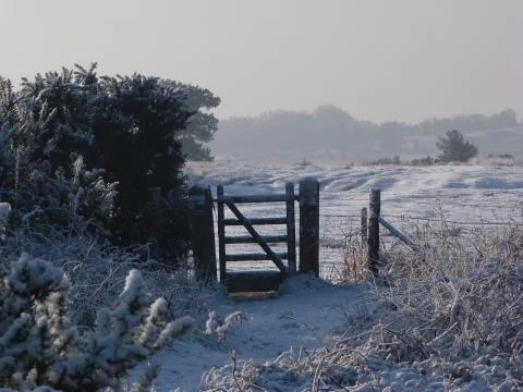 Winter in the ashdown forest Stock Photos