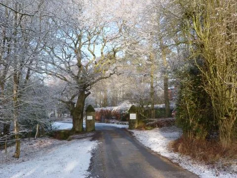 Winter in the ashdown forest Stock Photos