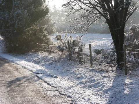 Winter in the ashdown forest 写真素材