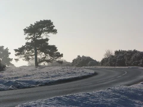 Winter in the ashdown forest Stock Photos