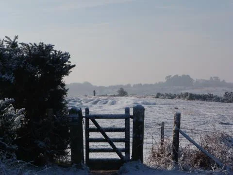 Winter in the ashdown forest Stock Photos