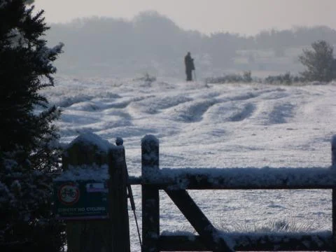 Winter in the ashdown forest 写真素材