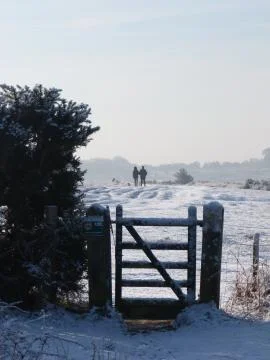 Winter in the ashdown forest Stock Photos